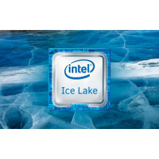 Intel Xeon Platinum 8376HL Processor Ice Lake 